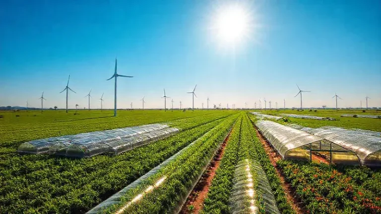 INTRODUCCIÓN A LAS ENERGÍAS RENOVABLES EN EL SECTOR AGRARIO