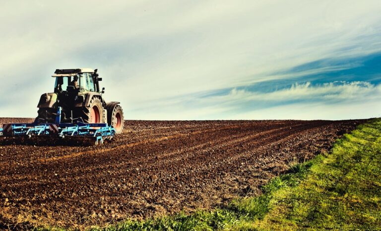 EXPLOTACIONES AGRARIAS EN AGRICULTURA ECOLÓGICA