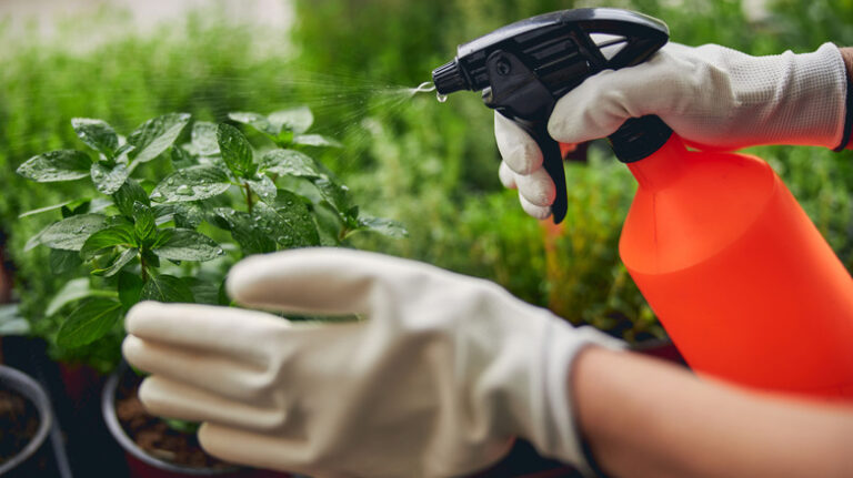 MEDIOS Y PRODUCTOS PARA EL CONTROL DE PLAGAS