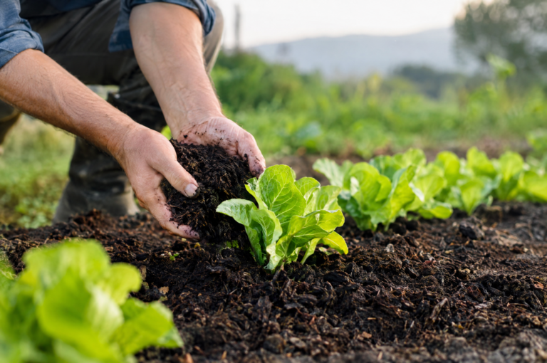 ABONADO Y FERTILIZACIÓN EN AGRICULTURA ECOLÓGICA