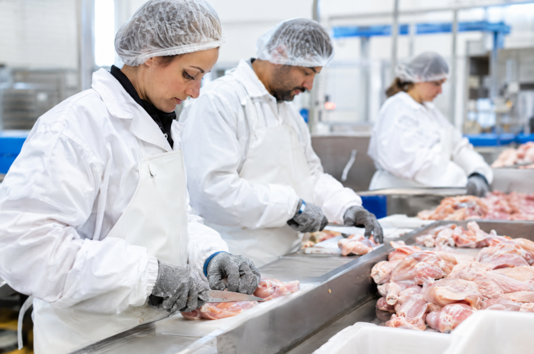 CONTROL DE LA PRODUCTIVIDAD: METODOS Y TIEMPOS EN DESPIECE DE AVES