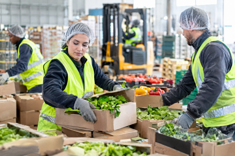 FORMACIÓN INTEGRAL PARA TRABAJADORES DE ALMACÉN HORTOFRUTÍCOLA