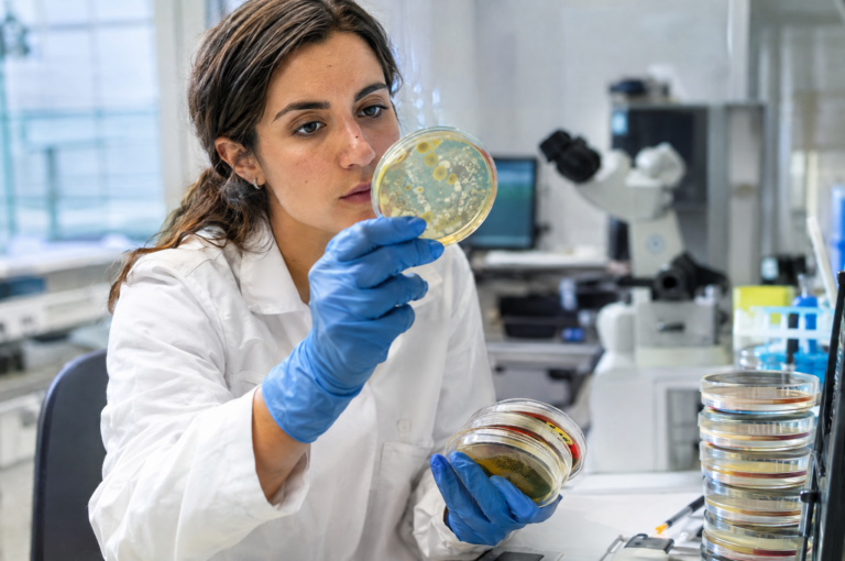 MICROBIOLOGIA DE LOS ALIMENTOS